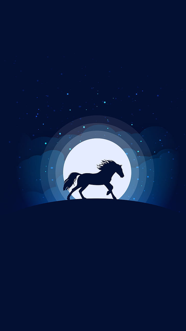 equestrian , Cat phone wallpaper