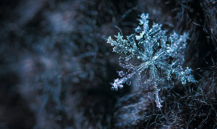 Snowflake, snowflake, macro wallpaper