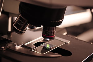 Microscope, Science wallpaper