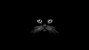 Cat Vector, cat, animals, vector wallpaper