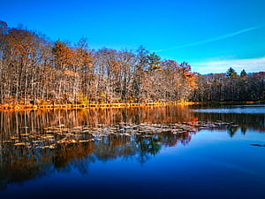 landscape wallpaper