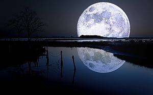 Reflection, Moonlight wallpaper