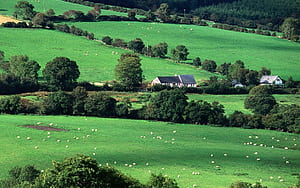 Irish landscape ,   ,  , iPhone Android wallpaper