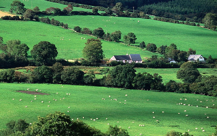 Irish landscape ,   ,  , iPhone Android wallpaper