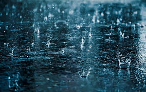 Splash, Rain wallpaper
