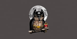 Batman Owl Robin Digital Art, batman, robin, owl, superheroes, artist, artwork, digital-art wallpaper