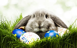 Easter, Holiday wallpaper