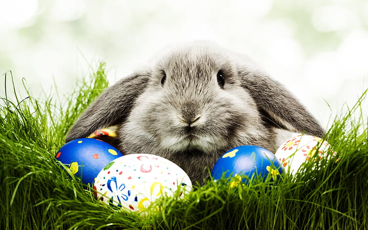 Easter, Holiday wallpaper
