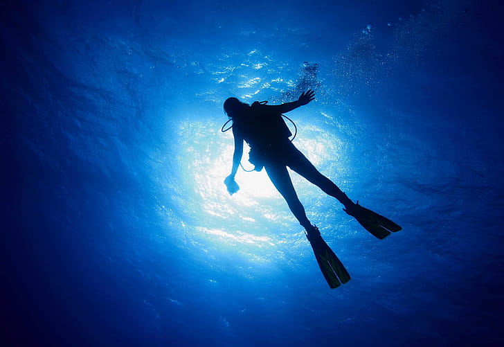 Diving program, Dive into adventure, Underwater exploration, Diving escapades wallpaper