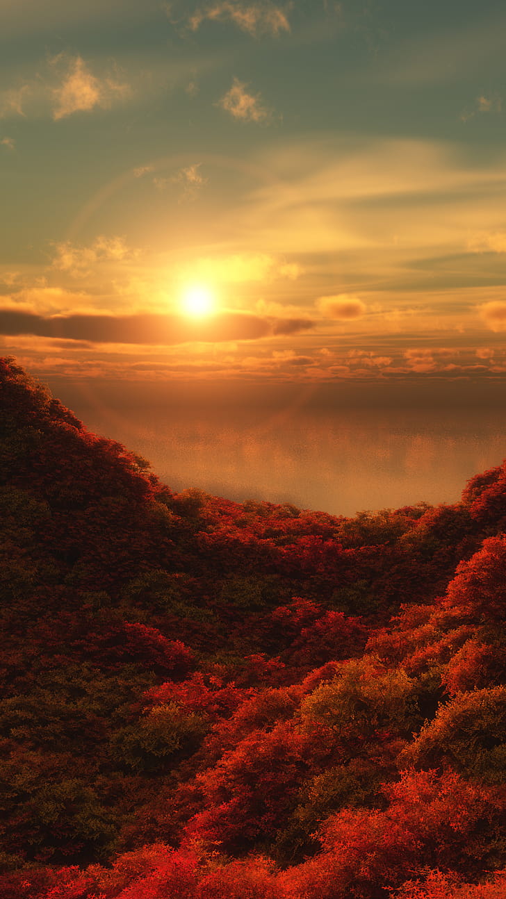 nature, fall phone wallpaper