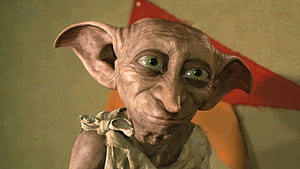 Dobby, Laptop wallpaper
