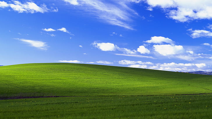 Windows Xp Bliss , windows, windows-xp, computer, simple-background wallpaper