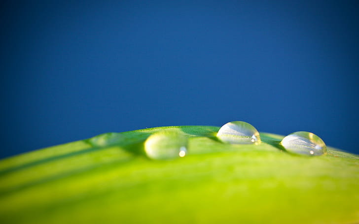 Water Drop wallpaper