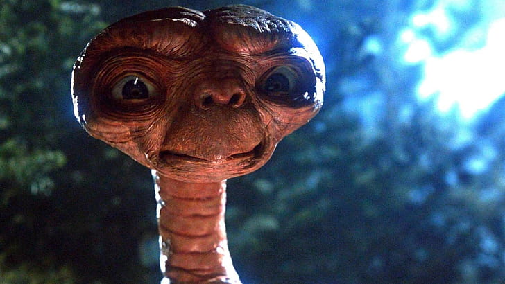 E.T., , cat wallpaper