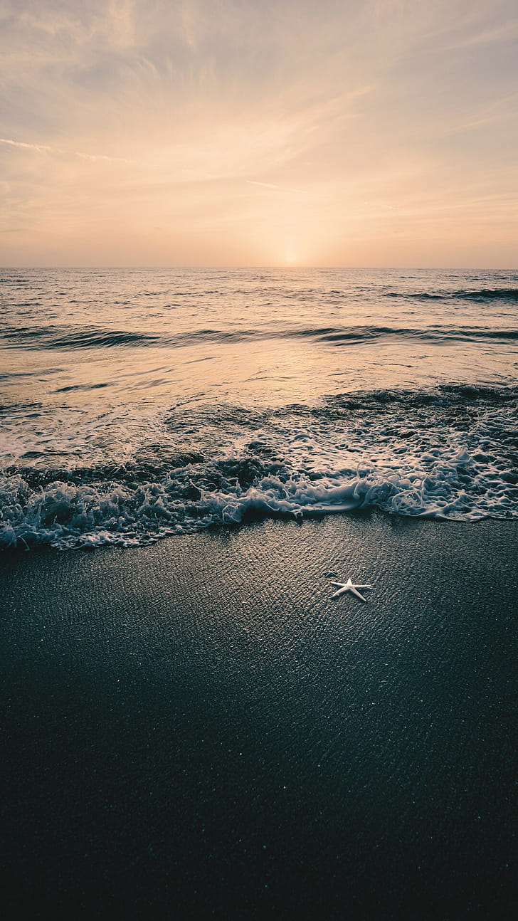 Black sand, Starfish phone wallpaper