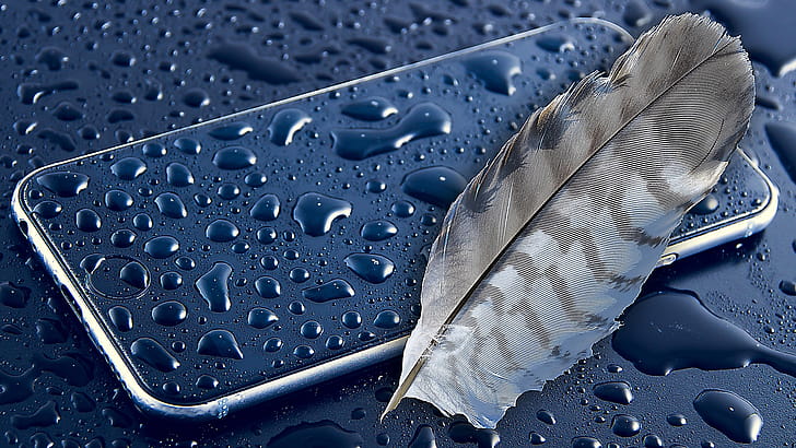 Apple Feather, apple, feather, graphy wallpaper