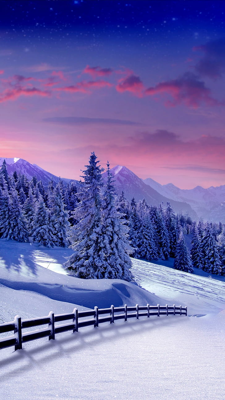 Winter , Winter phone wallpaper