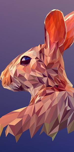 Rabbit, Facets phone wallpaper