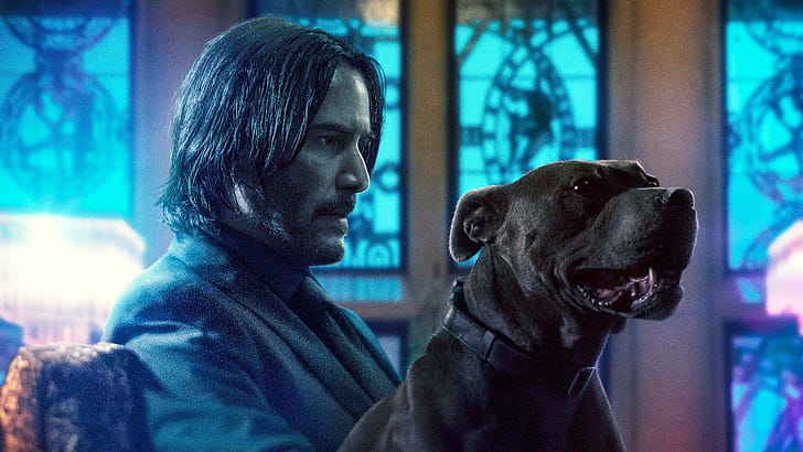 Daisy, John Wick wallpaper