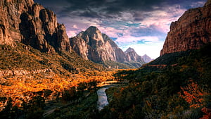 Mountains Trees, R , U TV wallpaper