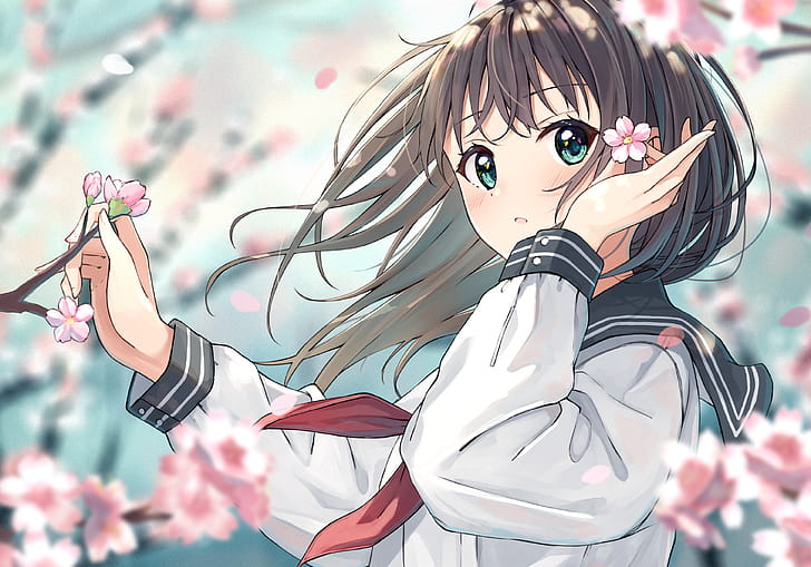 test wallpaper