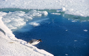 Antarctica, , , wallpaper
