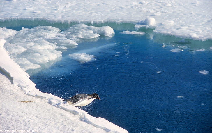 Antarctica, , , wallpaper