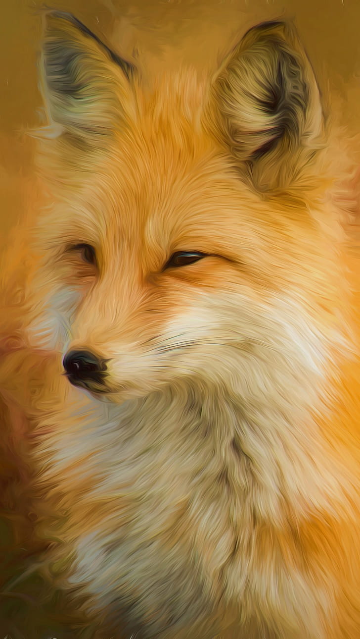 Drawing, Foxes phone wallpaper