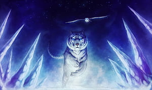 Tiger Owl , tiger, owl, artist, digital-art wallpaper