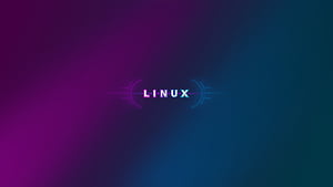 Linux Purple 10k, linux, computer, deviantart wallpaper