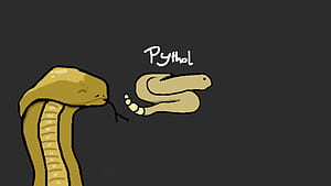 PytholThemeBetterDiscord, snake, Animal, python wallpaper