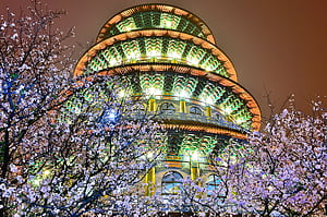 Building wallpaper