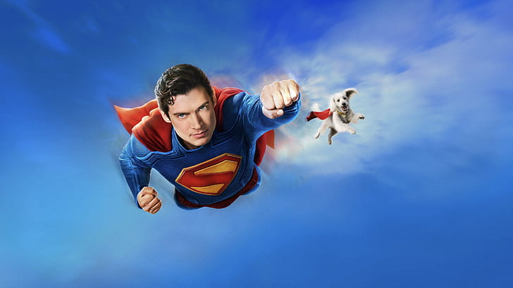 Superman (2025) wallpaper