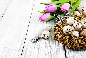 egg, holiday, Easter wallpaper