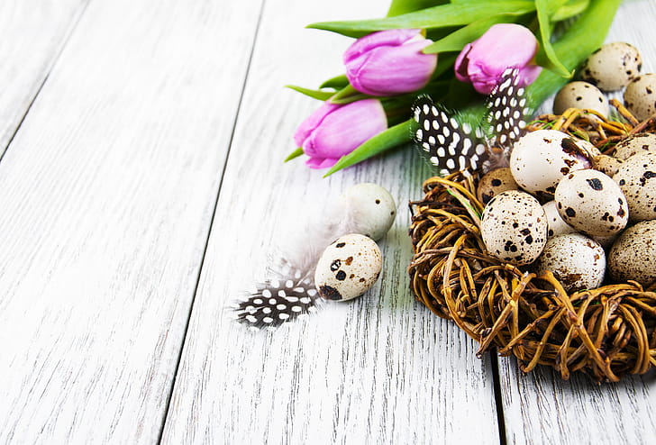 egg, holiday, Easter wallpaper