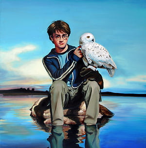 Hedwig, iPhone phone wallpaper