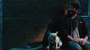 Due Date, wallpaper