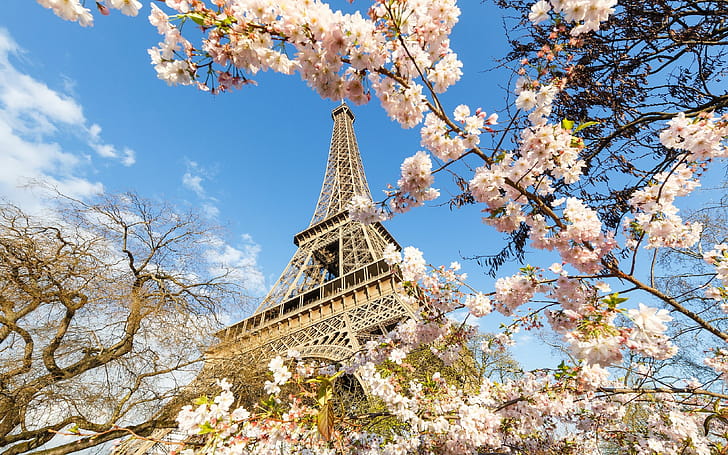 Eiffel Tower, Spring wallpaper