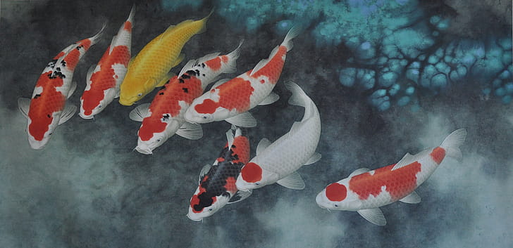 Artwork, Koi wallpaper