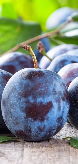 Plum fruit, phone wallpaper