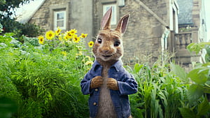 Peter, Rabbits wallpaper