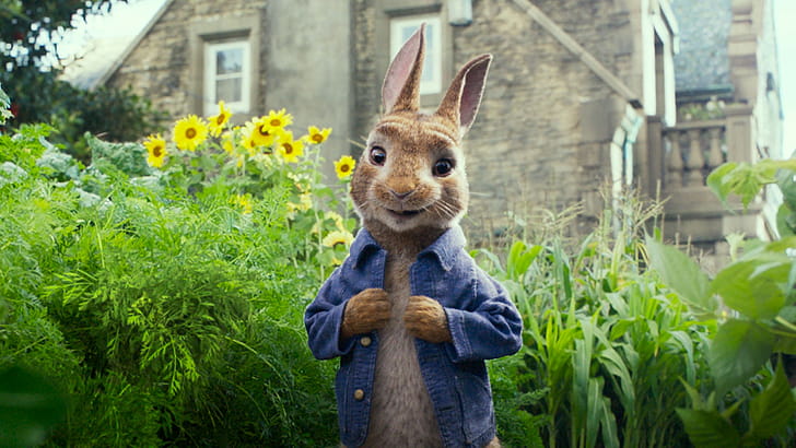 Peter, Rabbits wallpaper