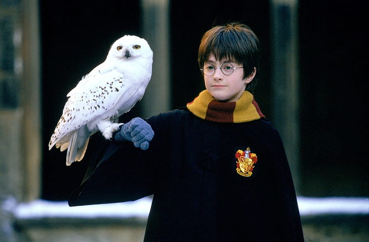 Hedwig, wallpaper