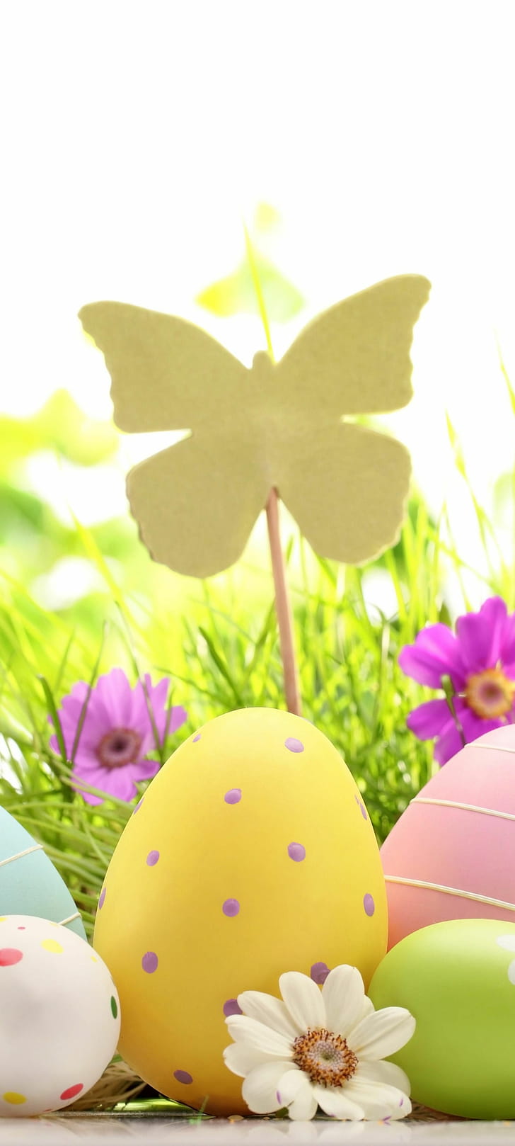 Easter eggs and flowers, holiday, Easter phone wallpaper