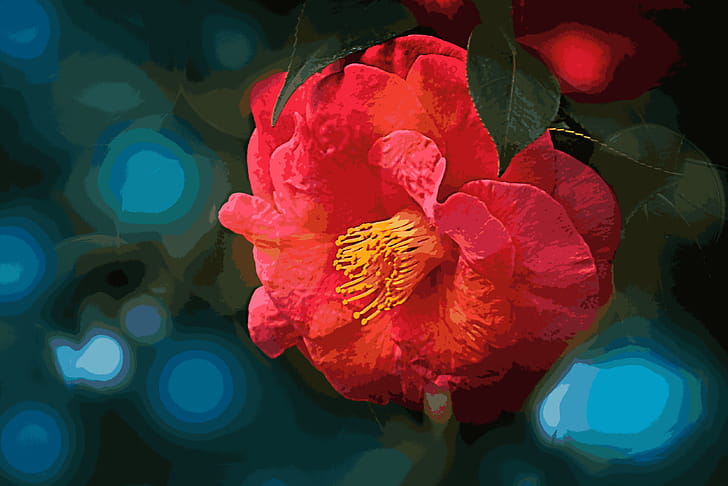 flower, macro wallpaper