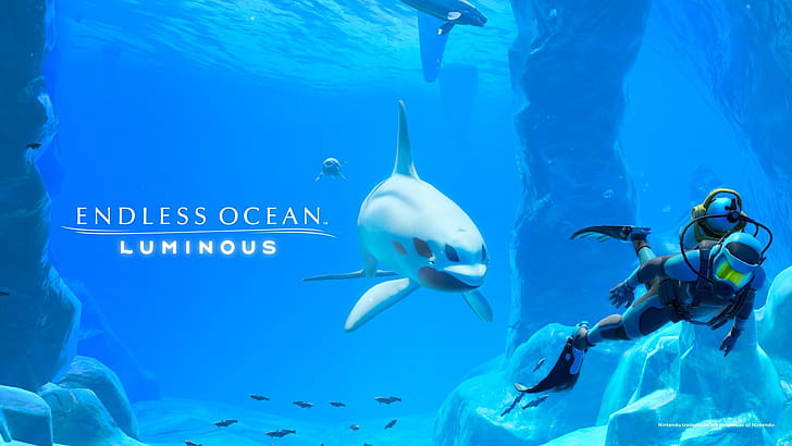 Endless Ocean wallpaper