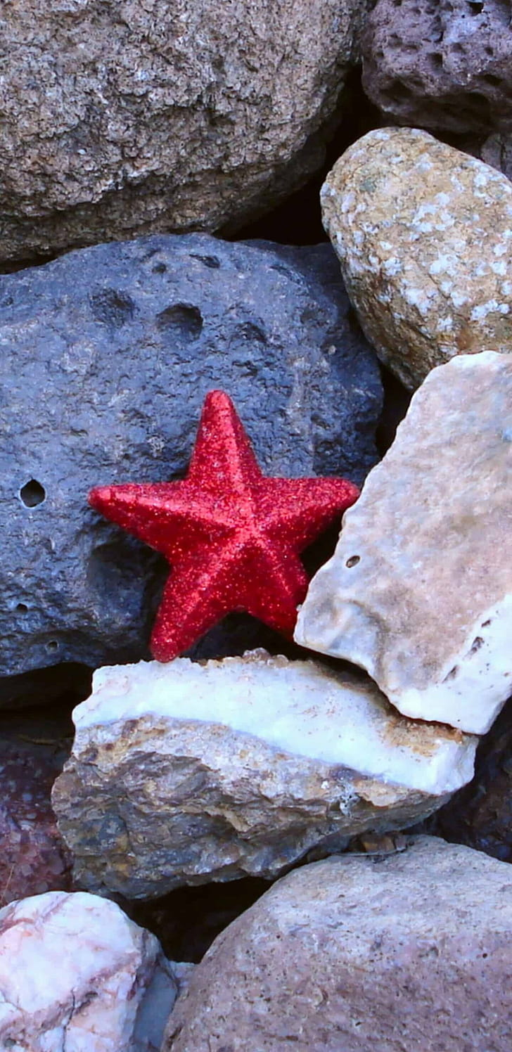 Rocks, Starfish phone wallpaper