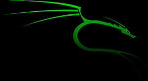 Kali Linux Nethunter , kali-linux, backtrack, linux, computer wallpaper