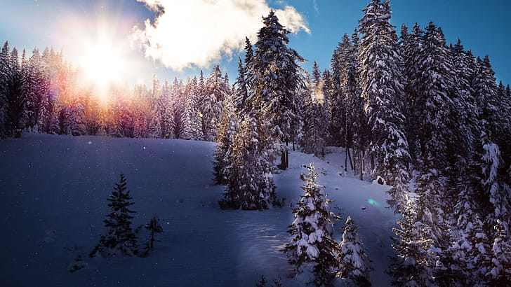 Winter ,  resolution wallpaper