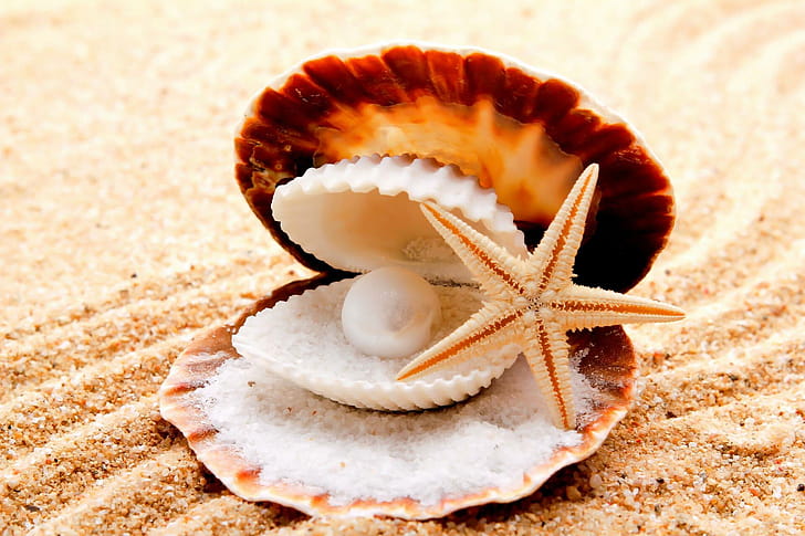 Perl, Starfish wallpaper